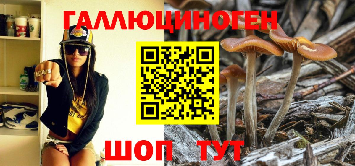 Псилоцибиновые грибы мухоморы  Вход с VPN  Донской 