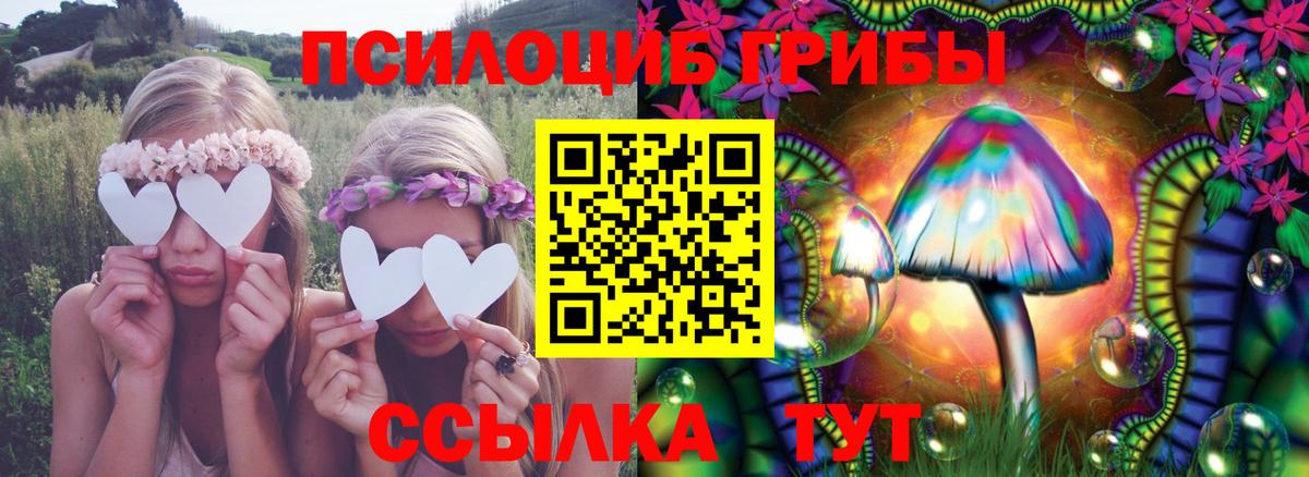 Псилоцибиновые грибы мицелий Донской