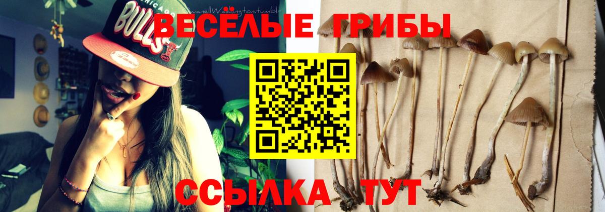 ГАШ  МЕФ  Марихуана  Кокаин  Вход с VPN  Донской  МЕФ   ГАШ 